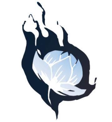 飞羽拾忆，《阴阳师》天域篇设计团队访谈公开！