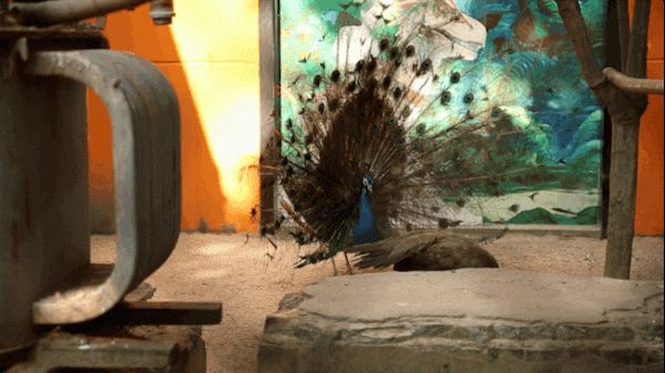 探秘《武动乾坤》大本营:极致的游戏画面是这样做的