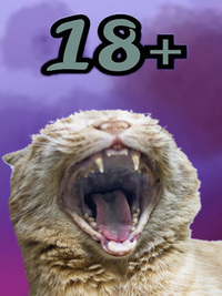 18+