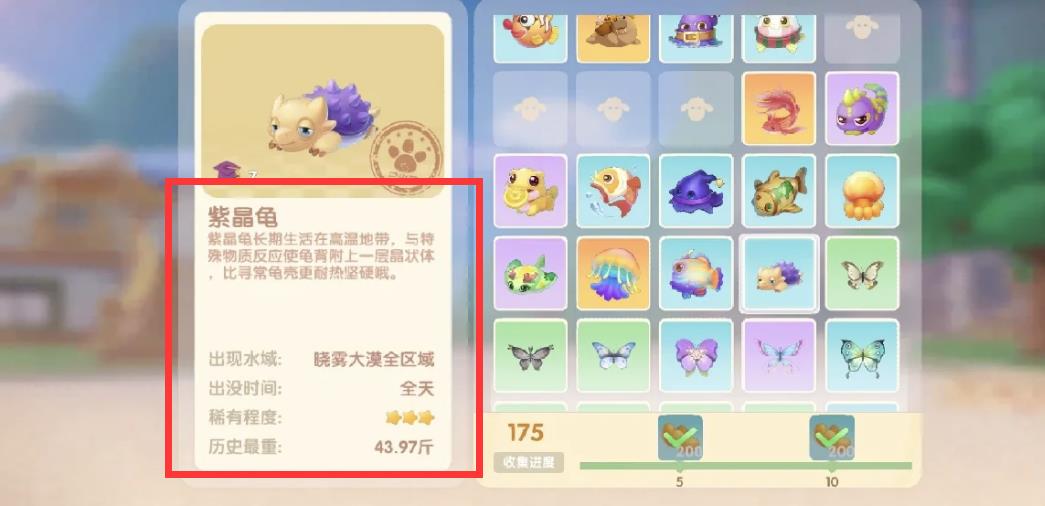 摩尔庄园紫晶龟在哪？