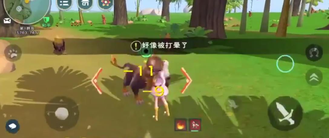 创造与魔法黑猫怎么抓？