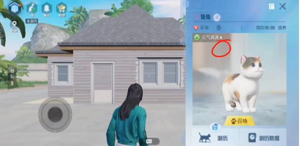 和平精英家园宠物怎么改名？