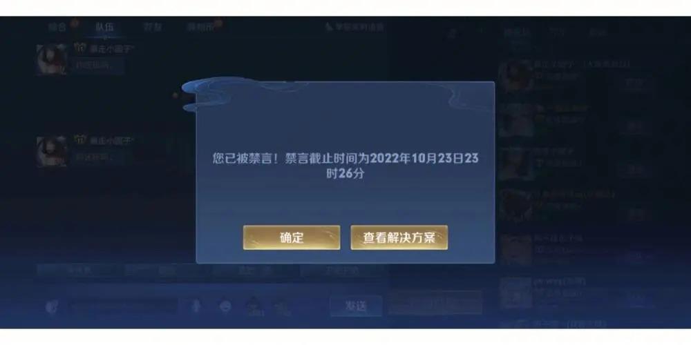王者荣耀什么都没说就被禁言是什么原因