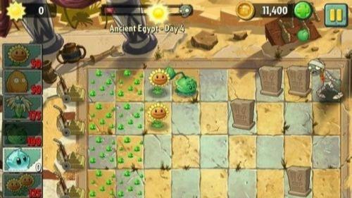 植物大战僵尸金字塔关卡第四关怎么过？