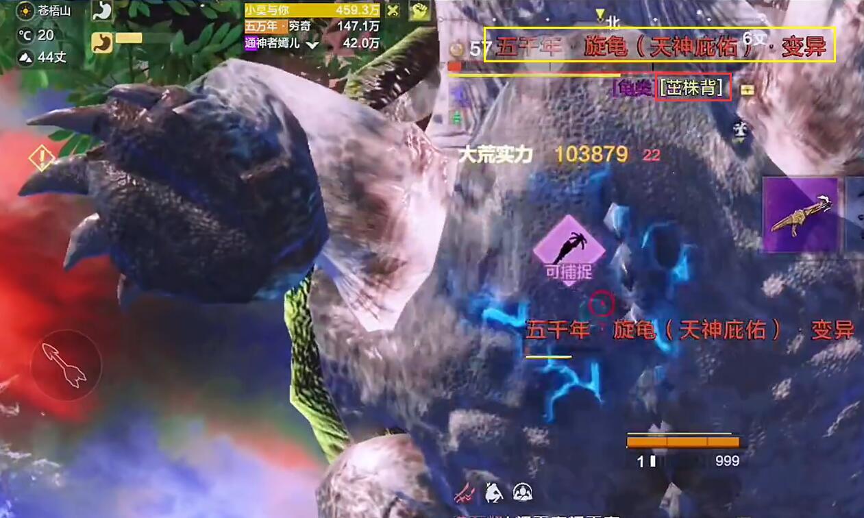 妄想山海背部变异有哪些?