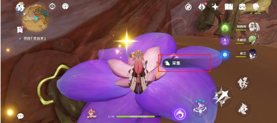 原神忧昙花采完了怎么办？