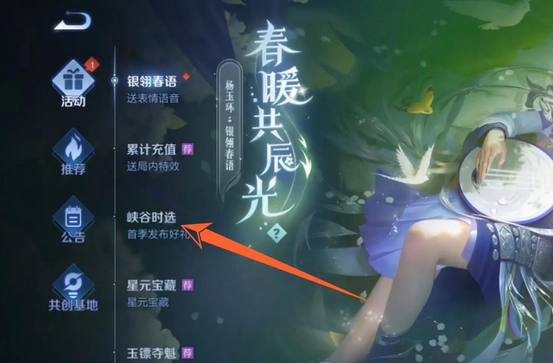 王者时选币在哪用啊？