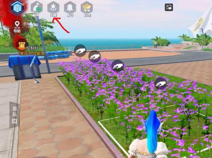 和平精英花圃怎么升级