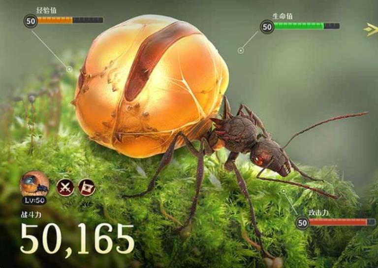 小小蚁国孵化橙色蚂蚁技巧是什么