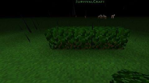 生存战争房子建筑教程是什么？