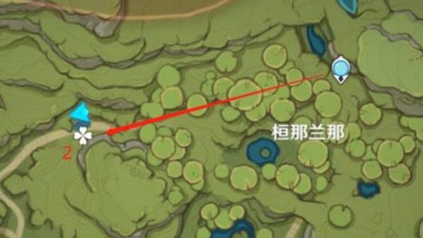 原神劫波莲位置地点及路线是什么样的？