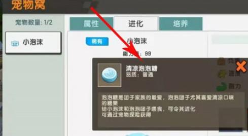 迷你世界小泡沬怎样获得经验？