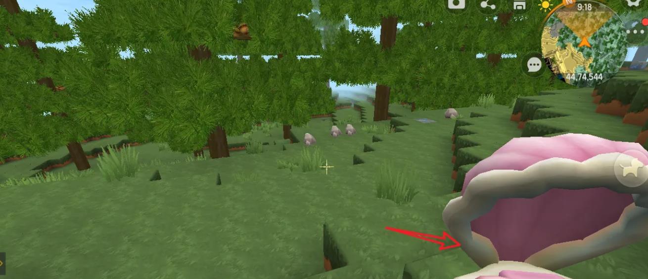 迷你世界贝壳床为什么放不了