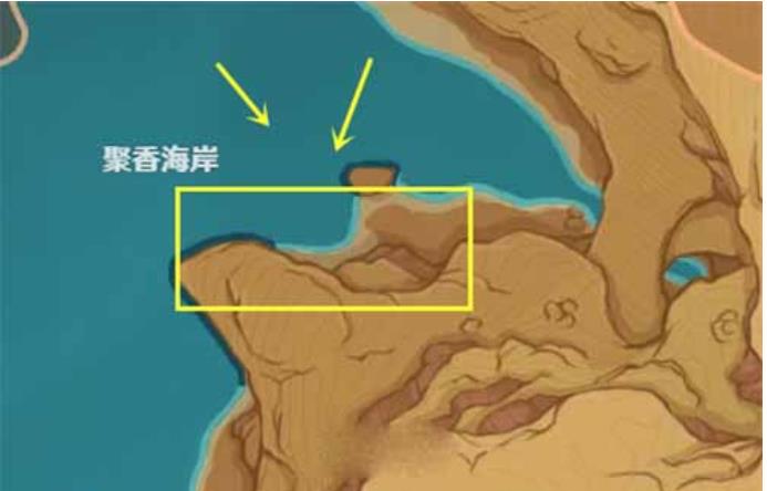 原神玳龟在哪里