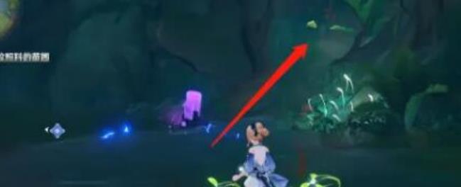 原神水天丛林下面的秘境怎么开？