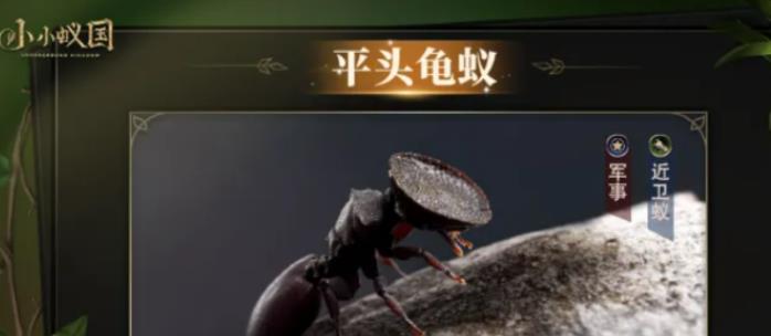 小小蚁国蚂蚁强度表是什么样的？