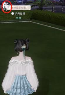 以闪亮之名的夜猫猫在哪?