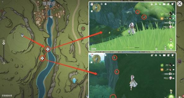 原神劫波莲一天最多采集多少个？