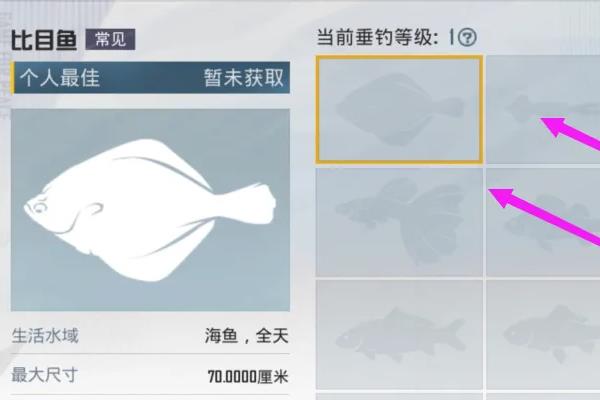 和平精英里钓鱼图鉴在哪？