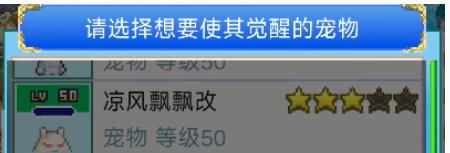 大航海探险物语宠物怎么觉醒