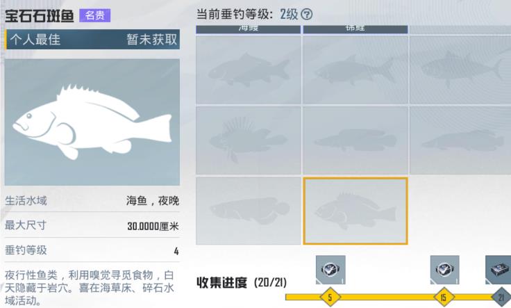 和平精英绿洲世界宝石石斑鱼在哪钓？