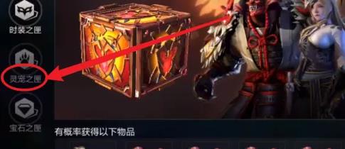 拉结尔宠物怎么弄?