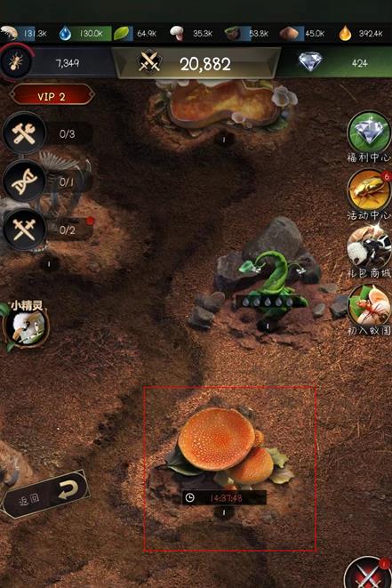 小小蚁国怎么能掠夺更多资源?