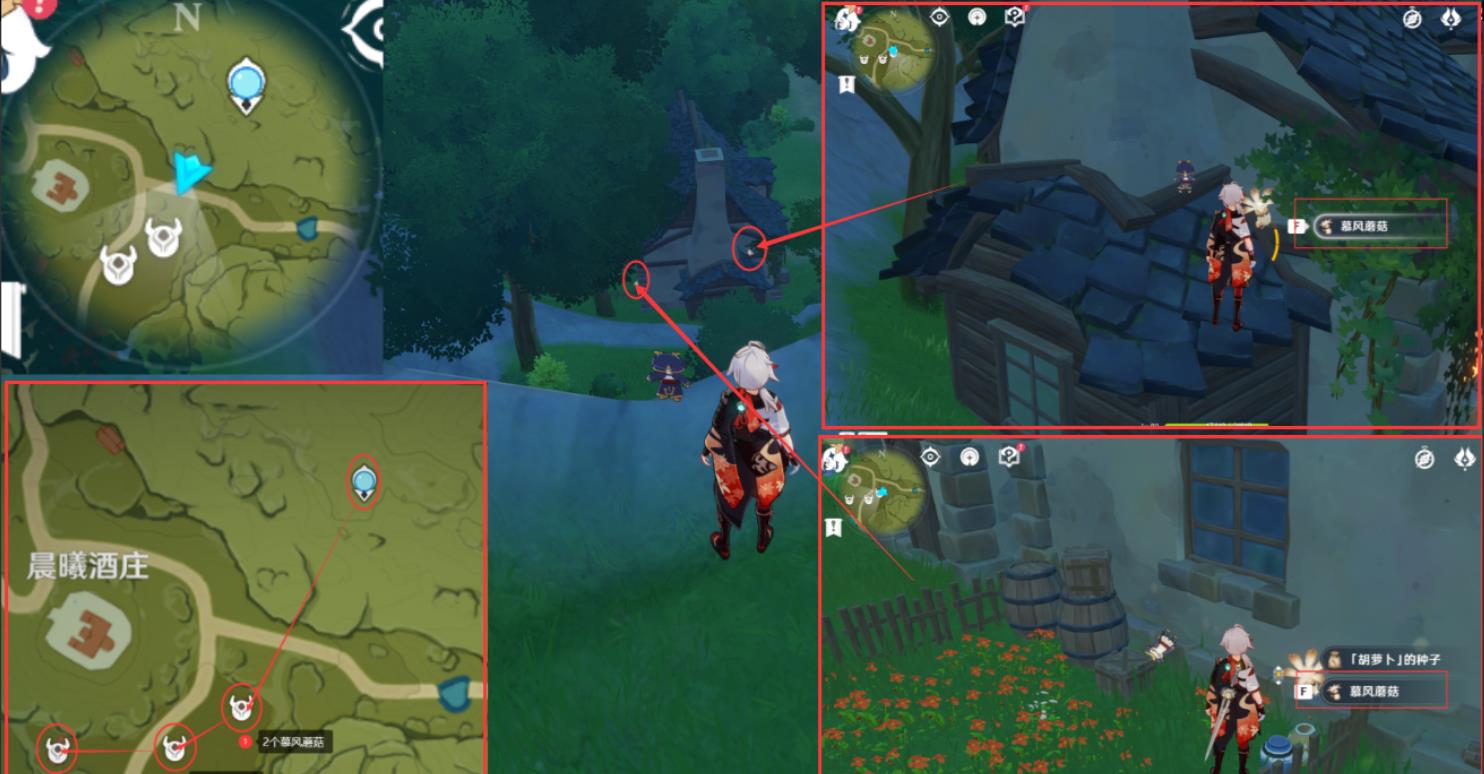 原神4.0慕风蘑菇在哪里采集？