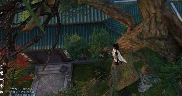 逆水寒树上的宝箱怎么拿?