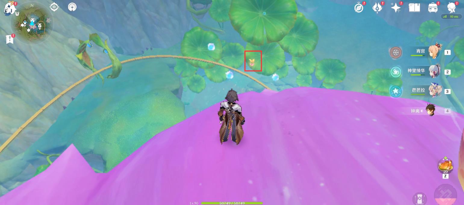 原神杏礼券采集路线是什么？