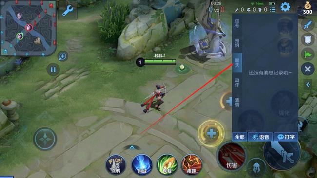 王者对局回放有聊天记录吗