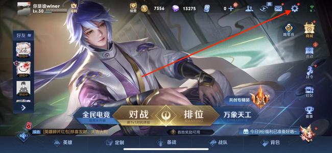 怎么看王者皮肤获取记录