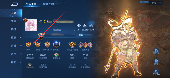 王者荣耀百星印记是什么样的