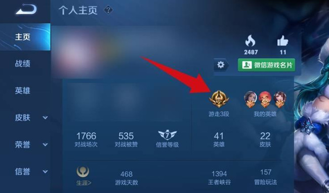 王者荣耀分路19段为什么显示不了