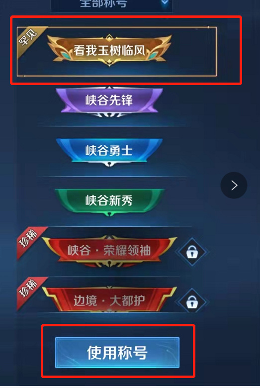 如何在王者荣耀设置专属称号让你更炫酷_王者荣耀专属称号在哪里设置