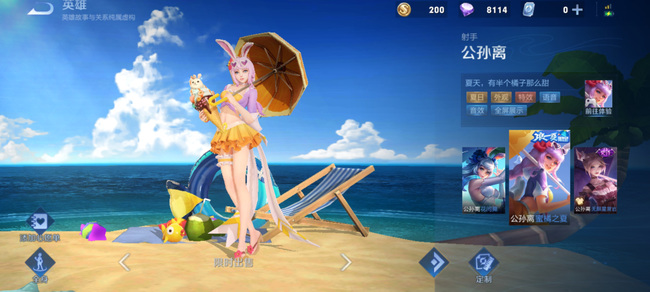 王者荣耀全屏展示游戏皮肤_王者荣耀皮肤全屏展示什么意思