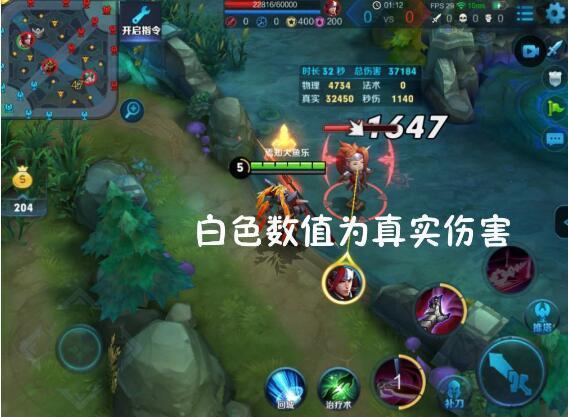 王者荣耀中真实伤害是指