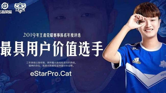 王者荣耀貂蝉fmvp皮肤是哪个职业选手