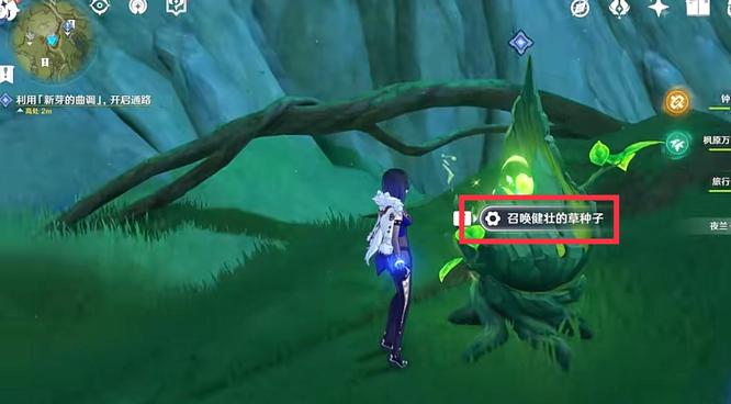 原神沙兰树的梦怎么进_原神沙兰树之梦闯入法门+入口攻略