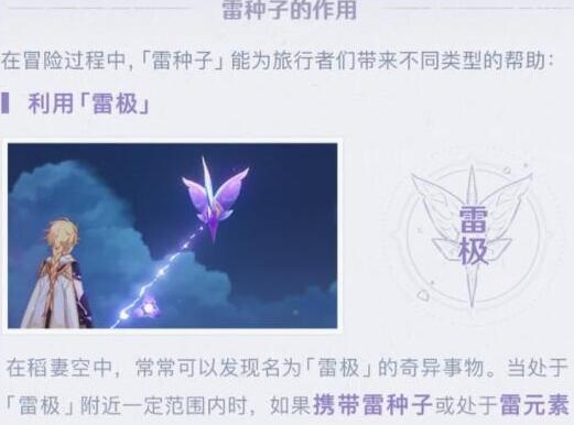 原神如何提升雷种子等级
