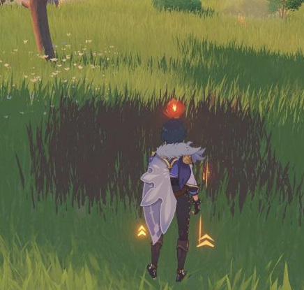 原神下雨天烈焰花可以采集吗