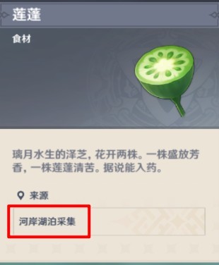 原神莲子去哪采