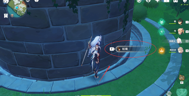 原神松茸在哪买_在原神手游中哪里可以买到松茸