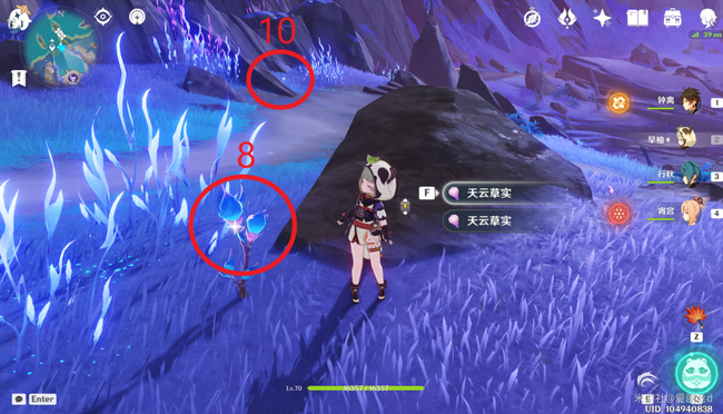 原神中天云草实怎么采_原神中如何采集天云草