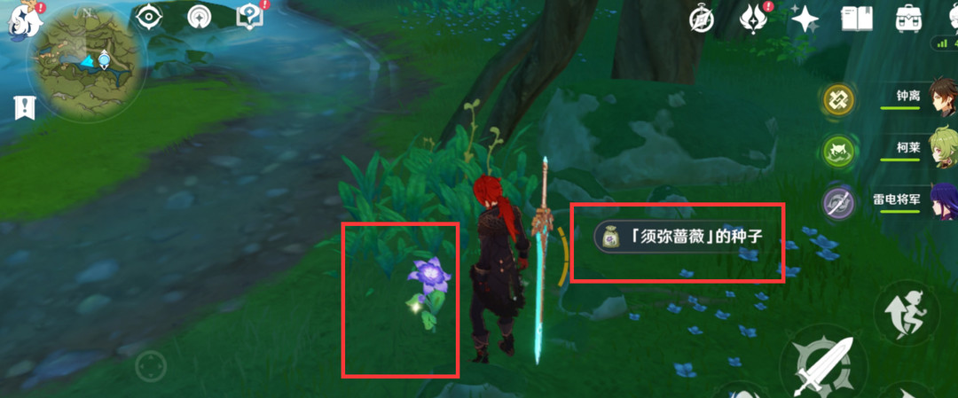 原神须弥蔷薇种子怎么获取_原神须弥蔷薇种子获取方法