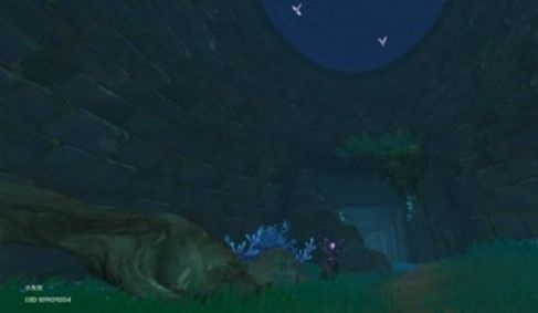 原神稽古御前府邸怎么开