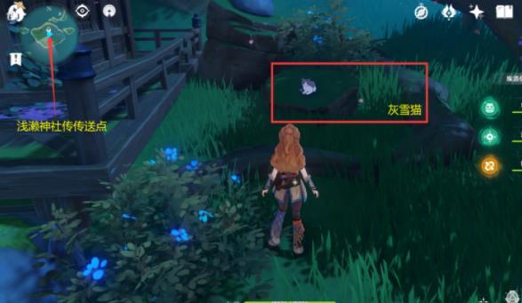原神小动物在哪里_原神小动物的位置
