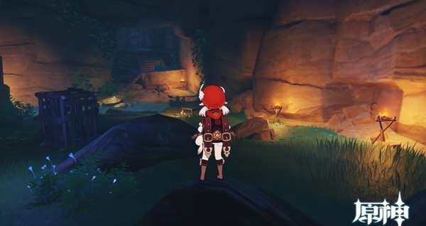 原神鸣神大社山脚下山洞怎么进_原神鸣神大社山洞探险攻略指南