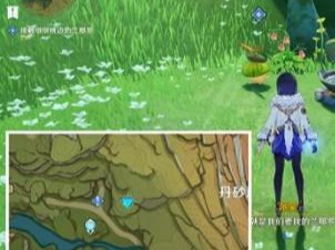 原神手游寻找兰萨卡怎么找不到了_寻找兰萨卡行程消失