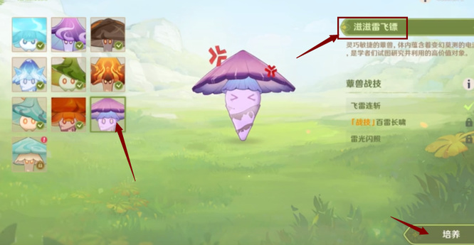 原神版本蕈兽活动的滋滋雷飞镖怎么培养